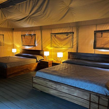Arenal Backpackers Resort Ла Фортуна Экстерьер фото