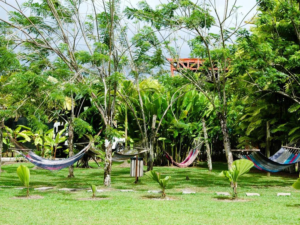 Arenal Backpackers Resort Ла Фортуна Экстерьер фото Hammocks in the garden of a hostel in Central America