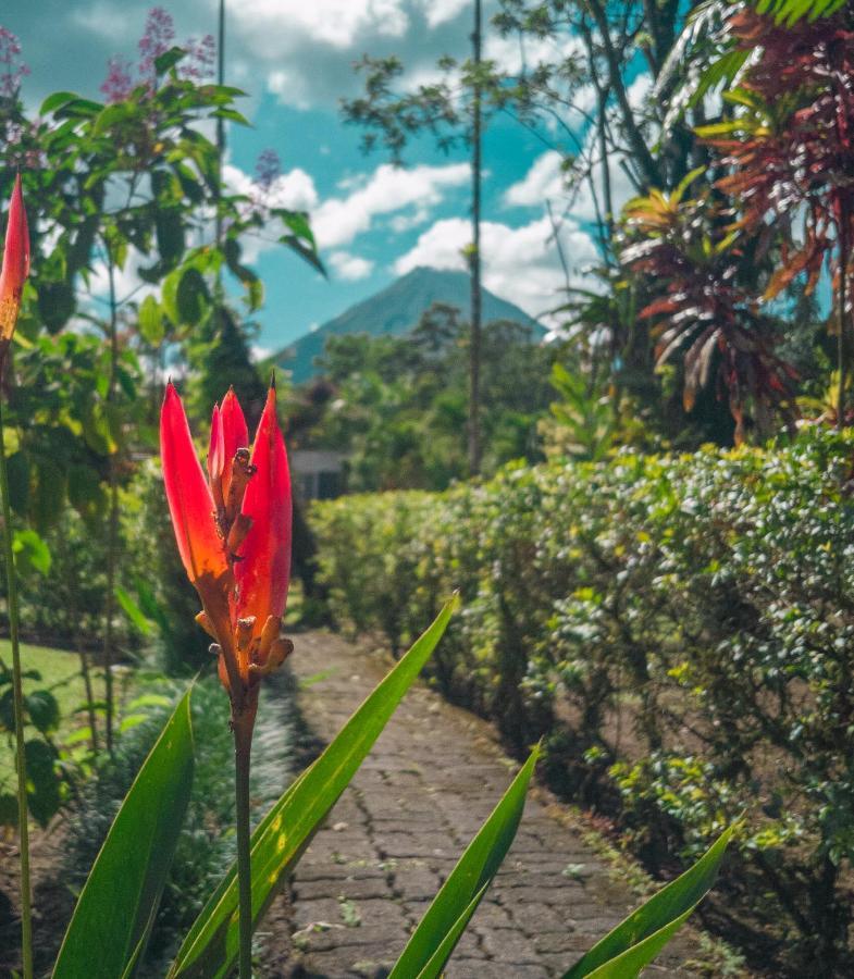 Arenal Backpackers Resort Ла Фортуна Экстерьер фото A view of Mount Apo