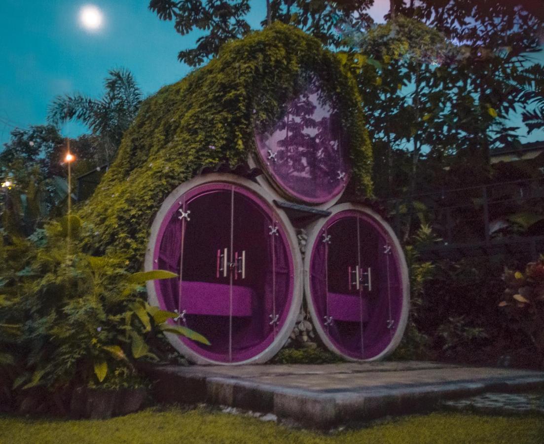 Arenal Backpackers Resort Ла Фортуна Экстерьер фото The Hobbit Hole